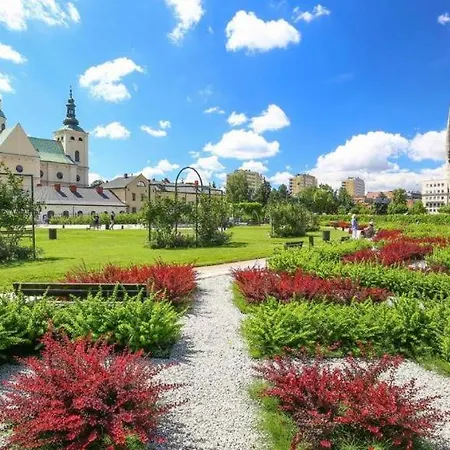 Comfy Rzeszów